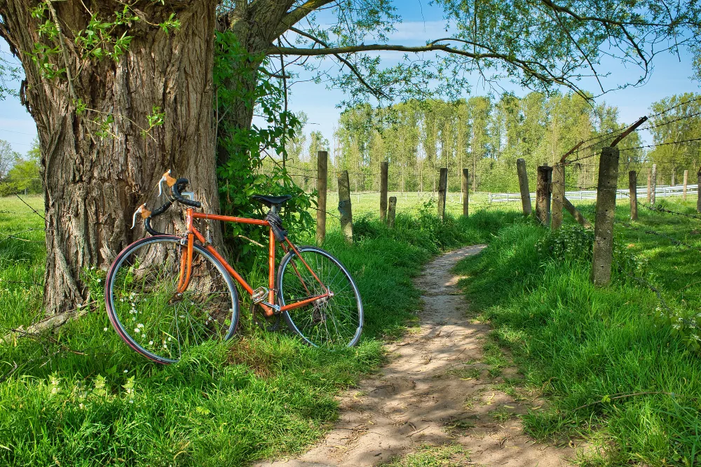Groep fietsers op pad door het Achterhoekse buitengebied in de zomer